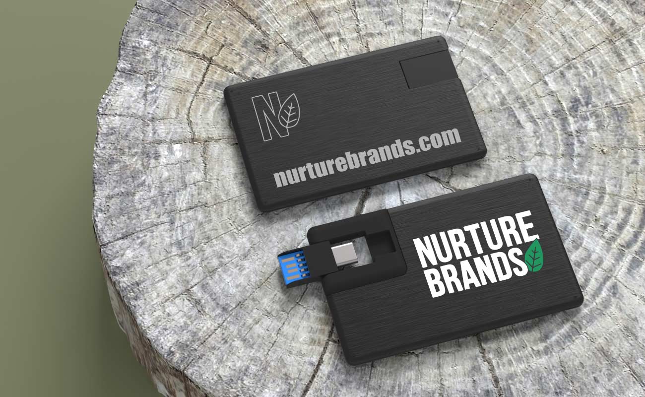 Alloy Duo - Cle USB Carte Credit gallery thumbnail