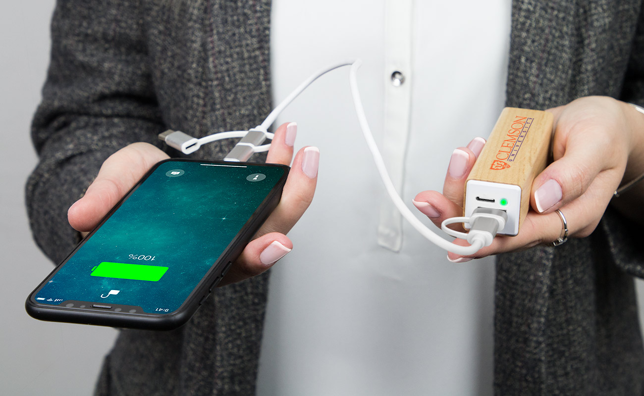 Maple - Batterie Portable Personnalisable gallery thumbnail