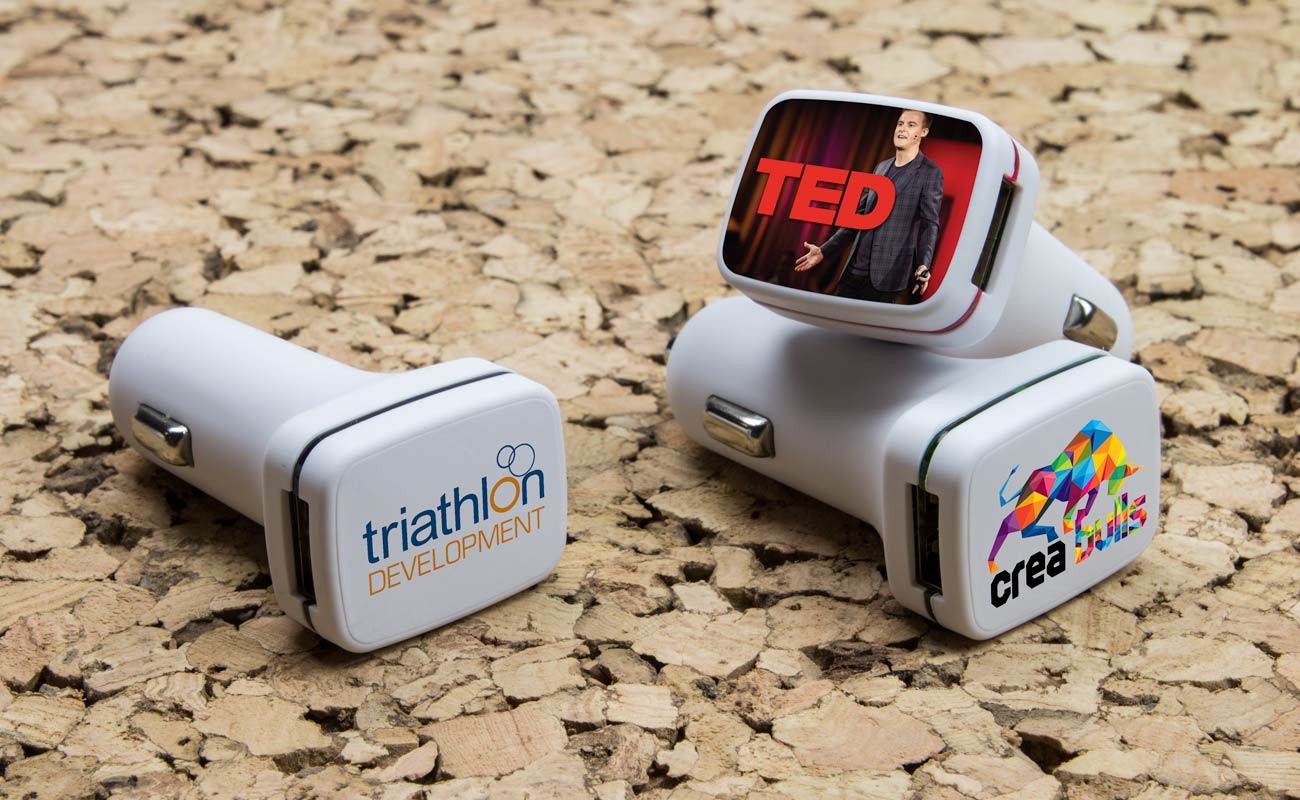 Chargeur de voiture Vista