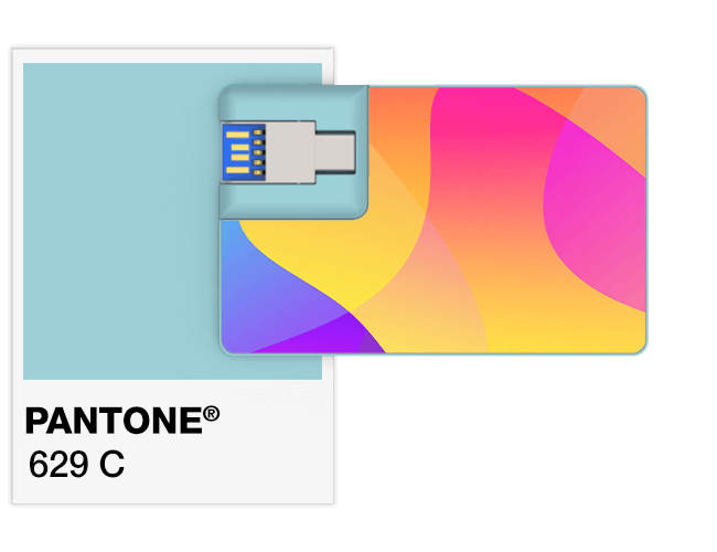Références Pantone® Carte USB